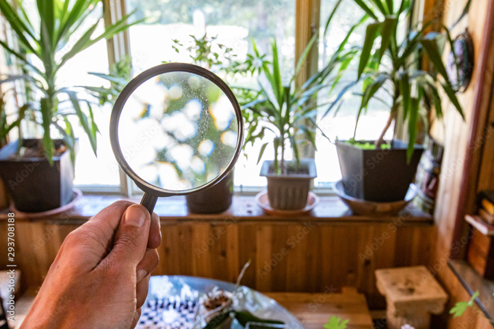 Microscope and indoor plants