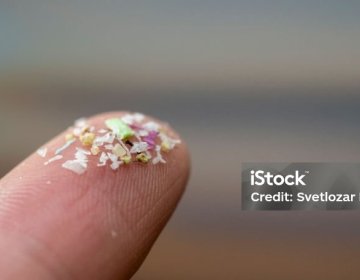 Microplastics on human finger. 