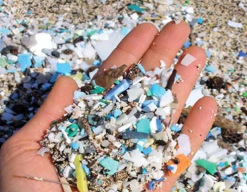 Plastic Waste and Microplastics in Human Hand 