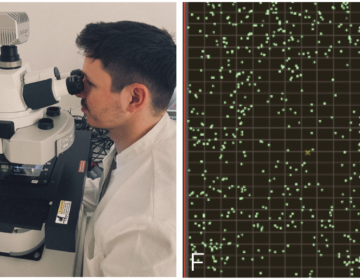 Image of EDIAQI researcher looking at microscope and one of the microscope images