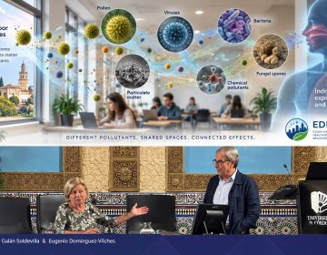Illustration of indoor air pollutants and health effects, above authors Carmen Galán Soldevilla and Eugenio Domínguez-Vilches at the University of Córdoba.