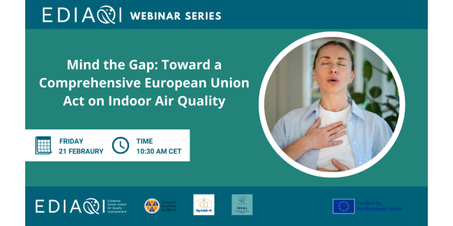 Banner for the Mind the Gap EDIAQI Webinar