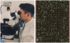 Image of EDIAQI researcher looking at microscope and one of the microscope images