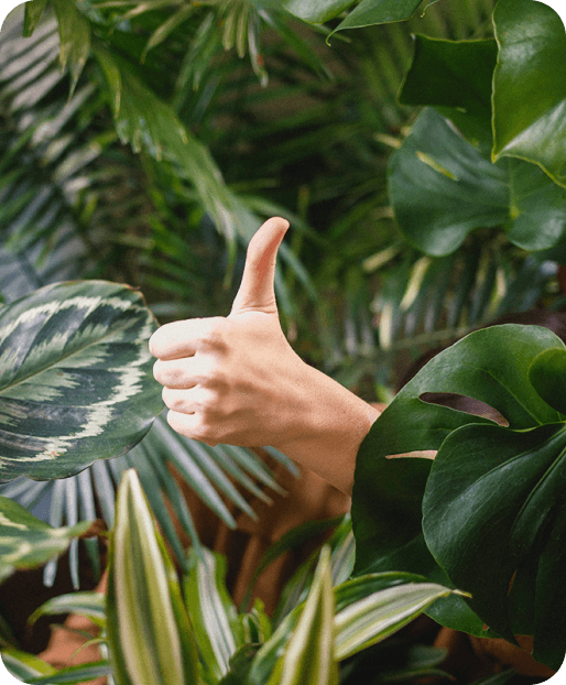 A woman doing a thumb up